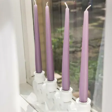 Cozy Free Parking 탈린